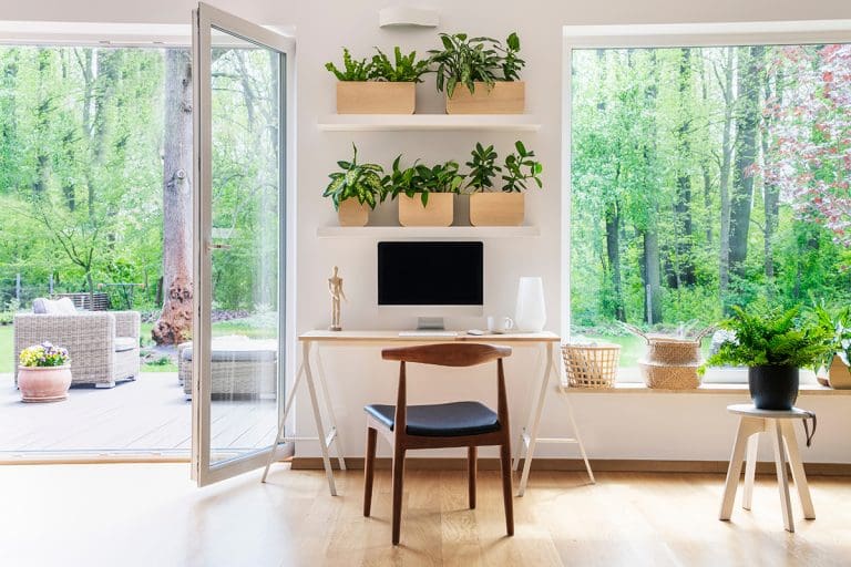Natural Light: The Interior Design Necessity Most People Underestimate